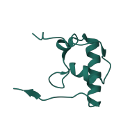 The deposited structure of PDB entry 1j5e contains 1 copy of SCOP domain 46912 (Ribosomal protein S18) in Small ribosomal subunit protein bS18. Showing 1 copy in chain R.