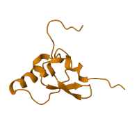 The deposited structure of PDB entry 1j5e contains 1 copy of CATH domain 3.30.860.10 (30s Ribosomal Protein S19; Chain A) in Small ribosomal subunit protein uS19. Showing 1 copy in chain S.