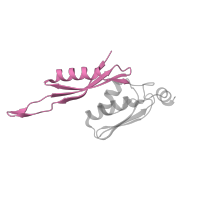 The deposited structure of PDB entry 1j5e contains 1 copy of CATH domain 3.30.160.20 (Double Stranded RNA Binding Domain) in Small ribosomal subunit protein uS5. Showing 1 copy in chain E.