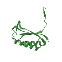 The deposited structure of PDB entry 1j5e contains 1 copy of CATH domain 3.30.70.60 (Alpha-Beta Plaits) in Small ribosomal subunit protein bS6. Showing 1 copy in chain F.