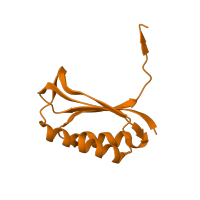 The deposited structure of PDB entry 1j5e contains 1 copy of SCOP domain 54996 (Ribosomal protein S6) in Small ribosomal subunit protein bS6. Showing 1 copy in chain F.