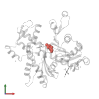 Modified residue HIC in PDB entry 1j6z, assembly 1, front view.