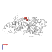 Modified residue HIC in PDB entry 1j6z, assembly 1, top view.
