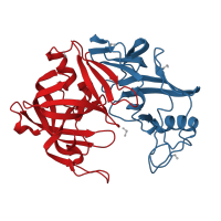 The deposited structure of PDB entry 1j71 contains 2 copies of CATH domain 2.40.70.10 (Cathepsin D, subunit A; domain 1) in Candidapepsin. Showing 2 copies in chain A.