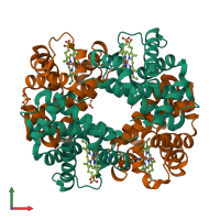 Hetero tetrameric assembly 1 of PDB entry 1j7y coloured by chemically distinct molecules, front view.