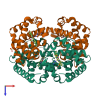 Hetero tetrameric assembly 1 of PDB entry 1j7y coloured by chemically distinct molecules, top view.