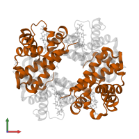 Hemoglobin subunit beta in PDB entry 1j7y, assembly 1, front view.