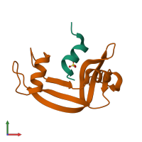 PDB entry 1j80 coloured by chain, front view.