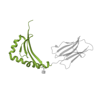 The deposited structure of PDB entry 1j8h contains 1 copy of SCOP domain 54453 (MHC antigen-recognition domain) in HLA class II histocompatibility antigen, DRB1 beta chain. Showing 1 copy in chain B.
