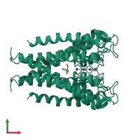 Homo tetrameric assembly 1 of PDB entry 1j95 coloured by chemically distinct molecules, front view.