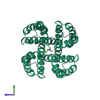 Homo tetrameric assembly 1 of PDB entry 1j95 coloured by chemically distinct molecules, side view.