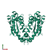 Oligoribonuclease in PDB entry 1j9a, assembly 1, front view.