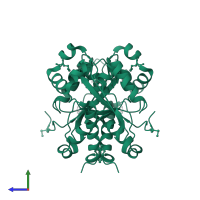 Oligoribonuclease in PDB entry 1j9a, assembly 1, side view.