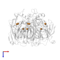 COPPER (II) ION in PDB entry 1j9r, assembly 1, top view.