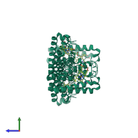 Homo tetrameric assembly 1 of PDB entry 1jaf coloured by chemically distinct molecules, side view.