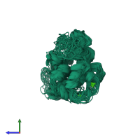 PDB entry 1jba coloured by chain, ensemble of 22 models, side view.