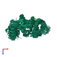 PDB entry 1jba coloured by chain, ensemble of 22 models, top view.