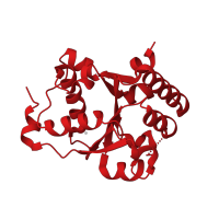 The deposited structure of PDB entry 1jbk contains 1 copy of CATH domain 3.40.50.300 (Rossmann fold) in Chaperone protein ClpB. Showing 1 copy in chain A.