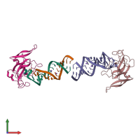 PDB entry 1jbr coloured by chain, front view.