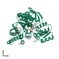 PDB entry 1jbw coloured by chain, front view.
