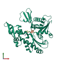 PDB entry 1jcg coloured by chain, front view.