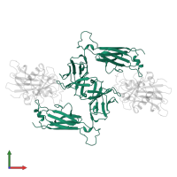 14.3.D T CELL ANTIGEN RECEPTOR in PDB entry 1jck, assembly 1, front view.