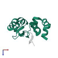 Death-associated inhibitor of apoptosis 1 in PDB entry 1jd6, assembly 1, top view.