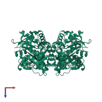 Homo tetrameric assembly 1 of PDB entry 1jdi coloured by chemically distinct molecules, top view.