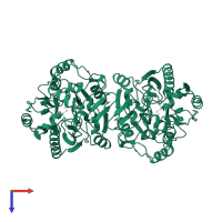 Glycine amidinotransferase, mitochondrial in PDB entry 1jdw, assembly 1, top view.