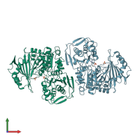 PDB entry 1jdy coloured by chain, front view.