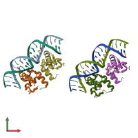 PDB entry 1je8 coloured by chain, front view.