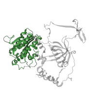 The deposited structure of PDB entry 1jeq contains 1 copy of SCOP domain 100962 (Ku80 subunit N-terminal domain) in X-ray repair cross-complementing protein 5. Showing 1 copy in chain B.