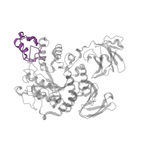 The deposited structure of PDB entry 1jf5 contains 2 copies of CATH domain 3.90.400.10 (Oligo-1,6-glucosidase; domain 2) in Neopullulanase 2. Showing 1 copy in chain A.