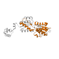 The deposited structure of PDB entry 1jft contains 1 copy of Pfam domain PF13377 (Periplasmic binding protein-like domain) in HTH-type transcriptional repressor PurR. Showing 1 copy in chain B [auth A].