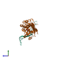 PDB entry 1jft coloured by chain, side view.