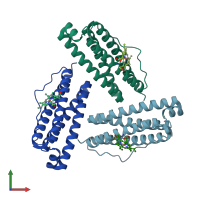 PDB entry 1jgc coloured by chain, front view.