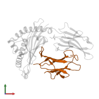 Beta-2-microglobulin in PDB entry 1jgd, assembly 1, front view.