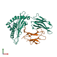 PDB entry 1jge coloured by chain, front view.