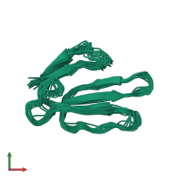 PDB entry 1jgk coloured by chain, ensemble of 19 models, front view.