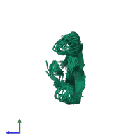 PDB entry 1jgk coloured by chain, ensemble of 19 models, side view.