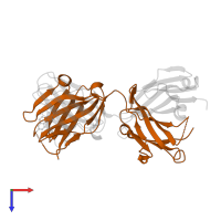 Ig gamma-1-chain in PDB entry 1jgl, assembly 1, top view.