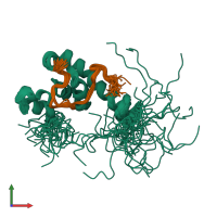 PDB entry 1jgn coloured by chain, ensemble of 30 models, front view.