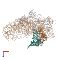 PDB entry 1jgo coloured by chain, top view.