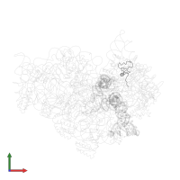 Small ribosomal subunit protein uS14 in PDB entry 1jgo, assembly 1, front view.