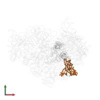 tRNA(Phe) in PDB entry 1jgo, assembly 1, front view.
