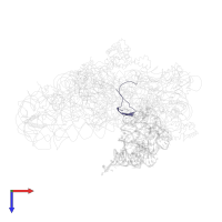 MESSENGER RNA MK27 in PDB entry 1jgo, assembly 1, top view.