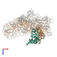 Hetero 25-meric assembly 1 of PDB entry 1jgp coloured by chemically distinct molecules, top view.