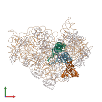 PDB entry 1jgp coloured by chain, front view.