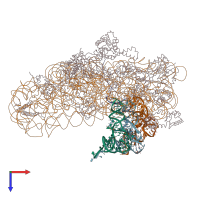 PDB entry 1jgp coloured by chain, top view.