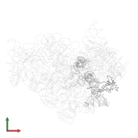 Small ribosomal subunit protein uS7 in PDB entry 1jgp, assembly 1, front view.